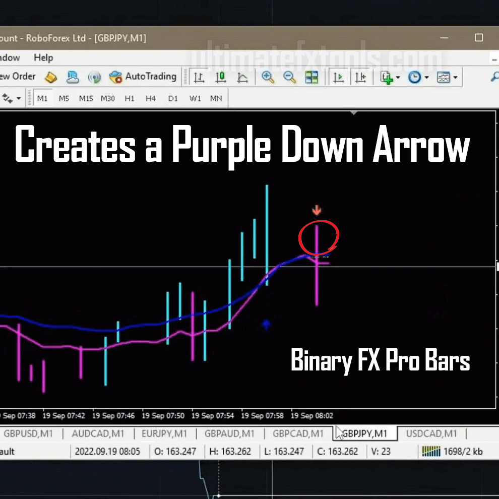Binary FX Pro Bars with Advance Candles