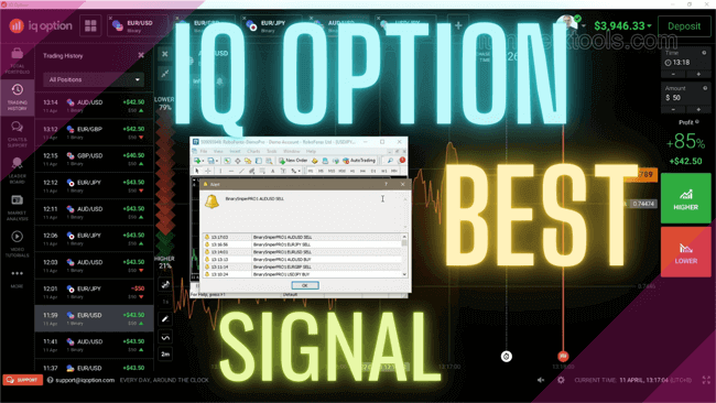 IQ Option Best Trading Signal