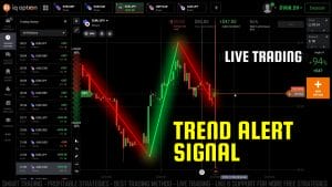 Trend Alert Signal Live Trading VelocityX